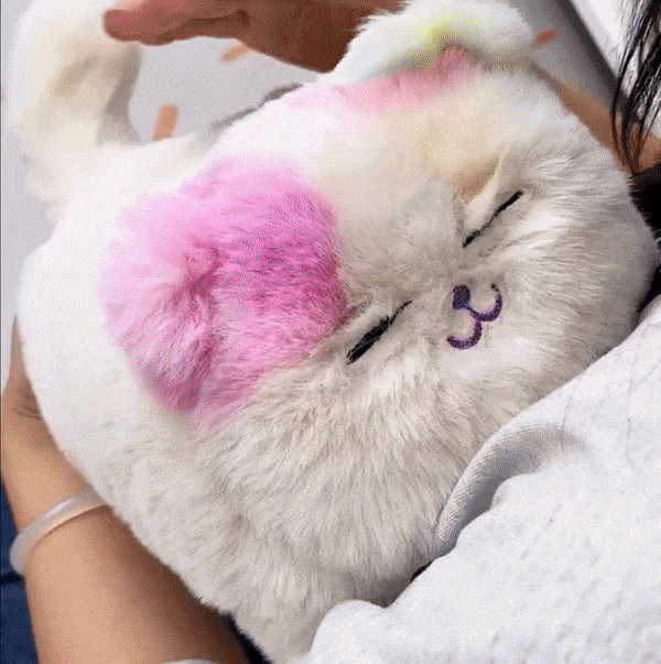 Pelúcia Interativa Realista Cat & Dog Universo Dos Brinquedos