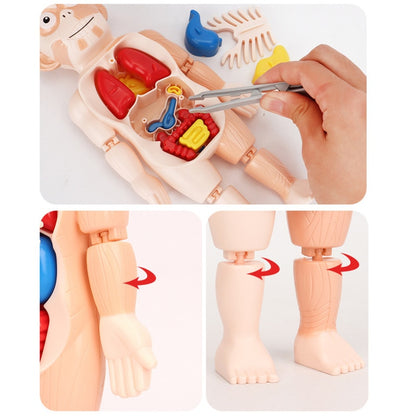 Quebra-Cabeça Corpo Humano Montessori